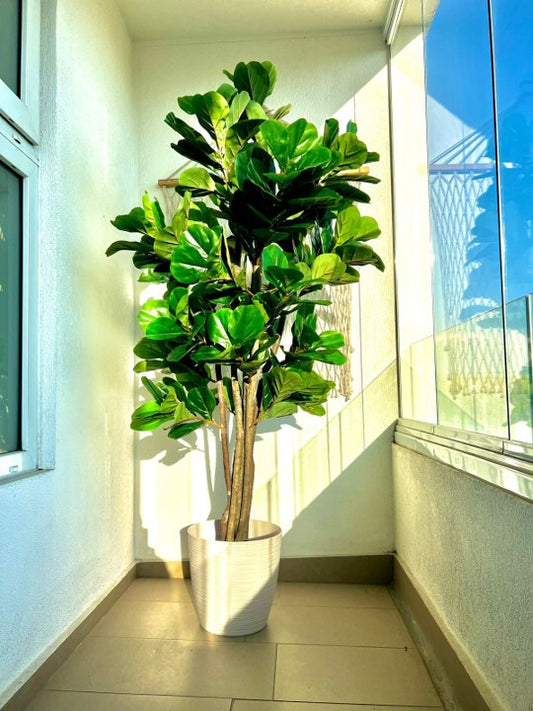 Planta Artificial Sky™ Ficus Lyrata 180 cm