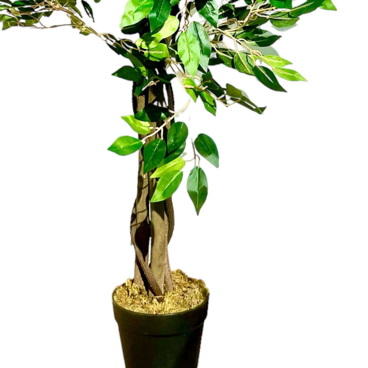 Planta Artificial Sky™ Ficus 120 cm