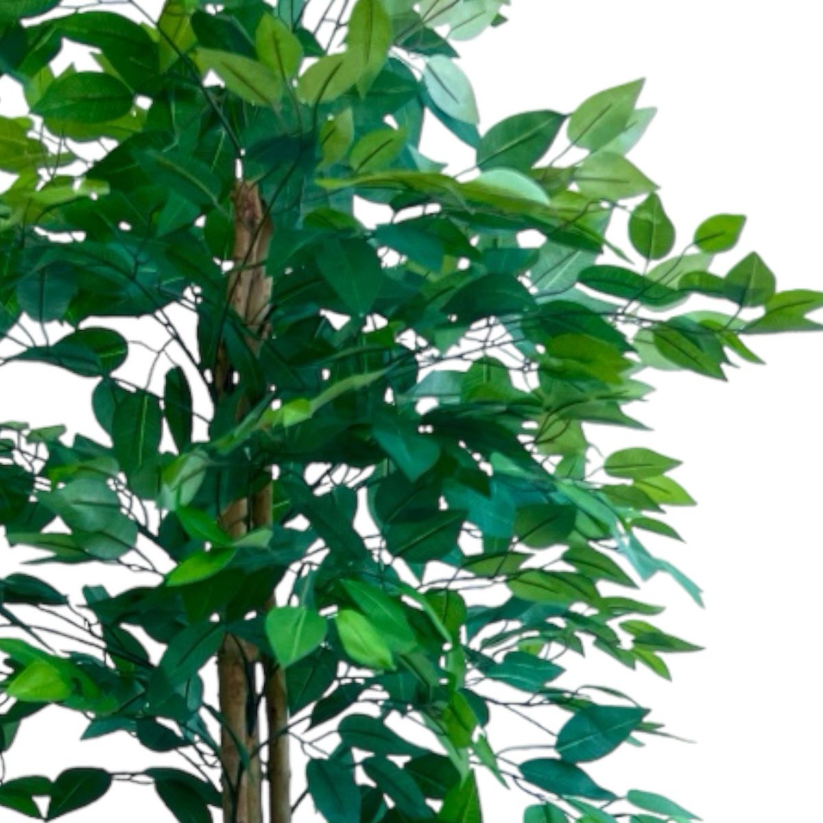 Planta Artificial Sky™ Ficus 160 cm