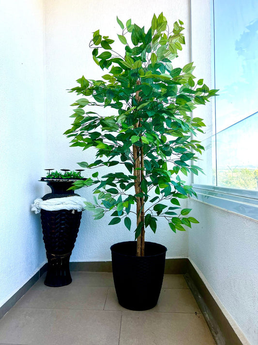 Planta Artificial Sky™ Ficus 160 cm