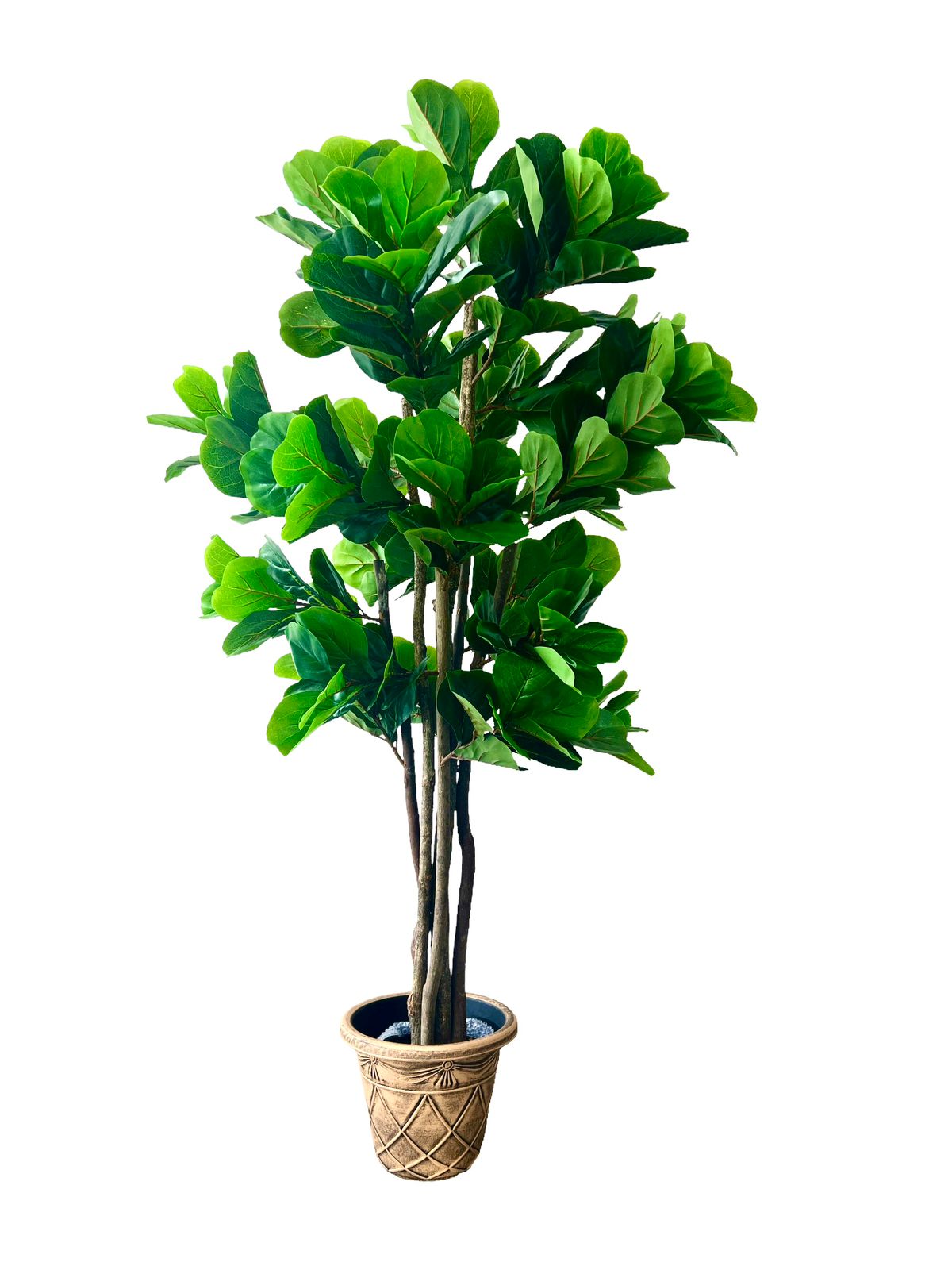 Planta Artificial Sky™ Ficus Lyrata 180 cm